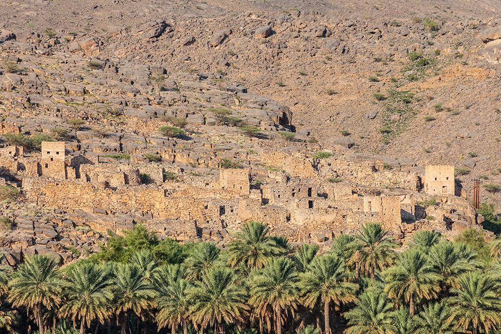 Wall Art Painting id:517644, Name: Middle East-Arabian Peninsula-Oman-Ad Dakhiliyah-Al Hamra-The ruins of an ancient village in Oman, Artist: Wilson, Emily