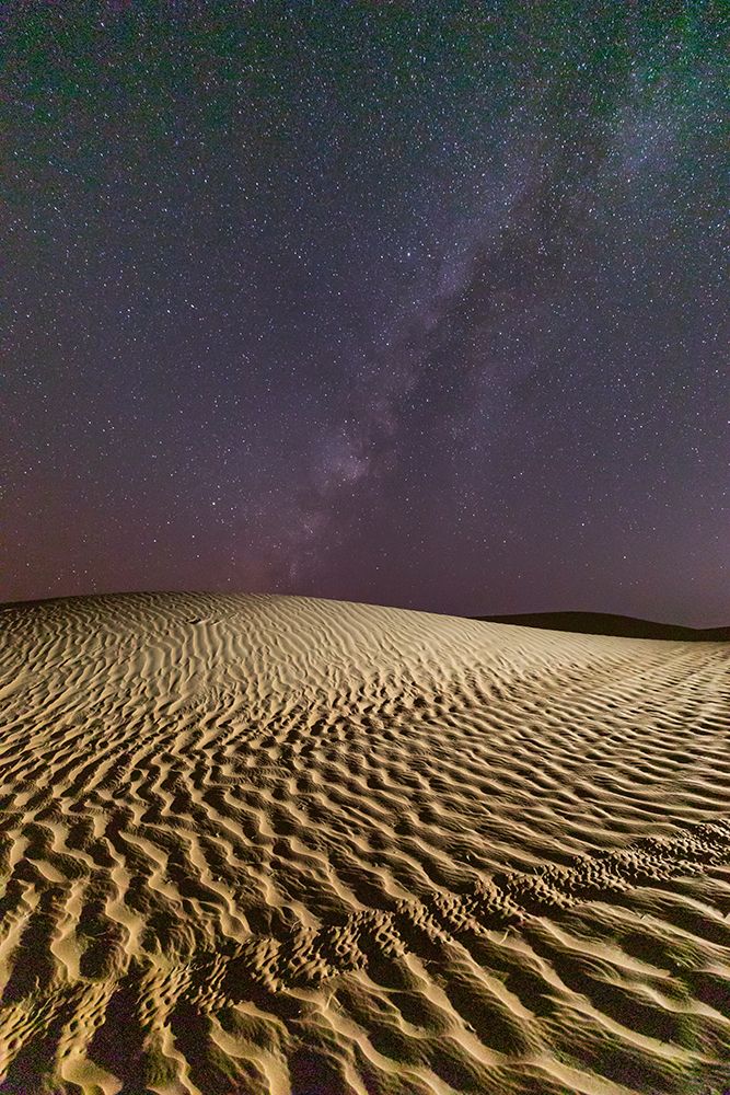 Similar wall art painting: 517664