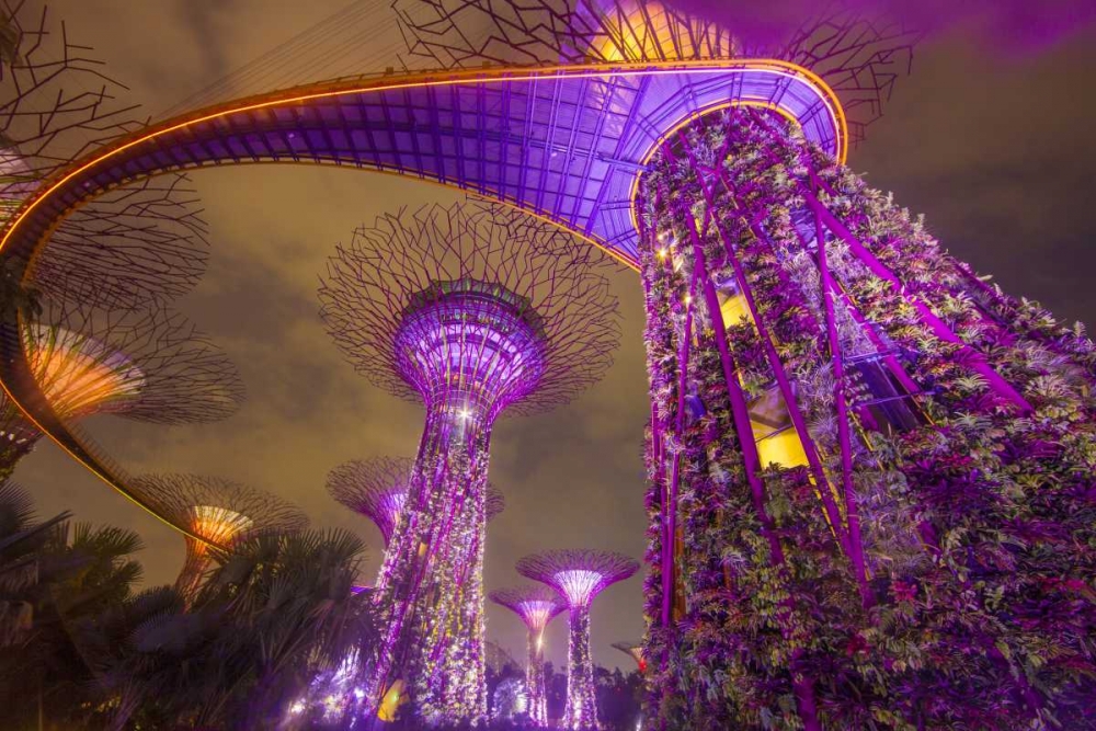 Wall Art Painting id:136683, Name: Singapore Garden by the Sea towers at night, Artist: Zuckerman, Jim