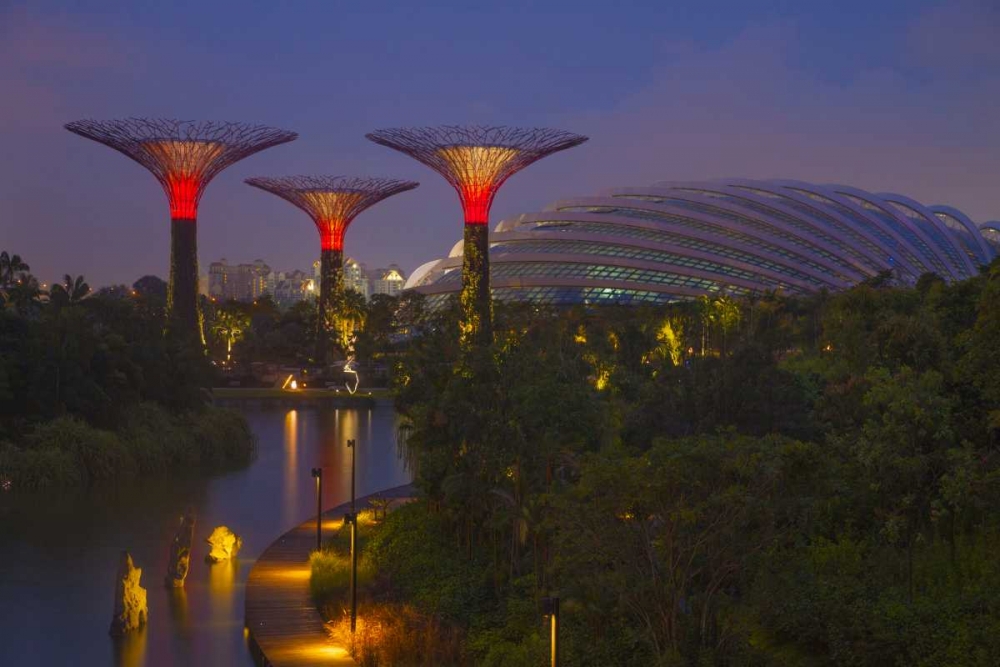 Art Print: Singapore Garden by the Sea towers at night