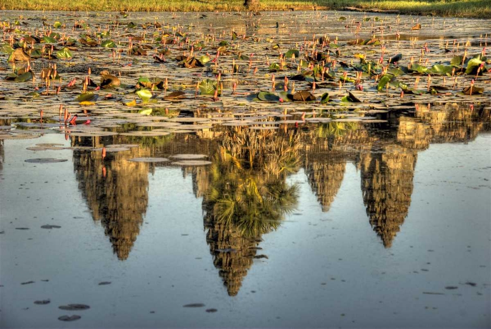 Wall Art Painting id:134577, Name: Cambodia, Angkor Wat Reflection of temple ruins, Artist: Shimlock, Jones