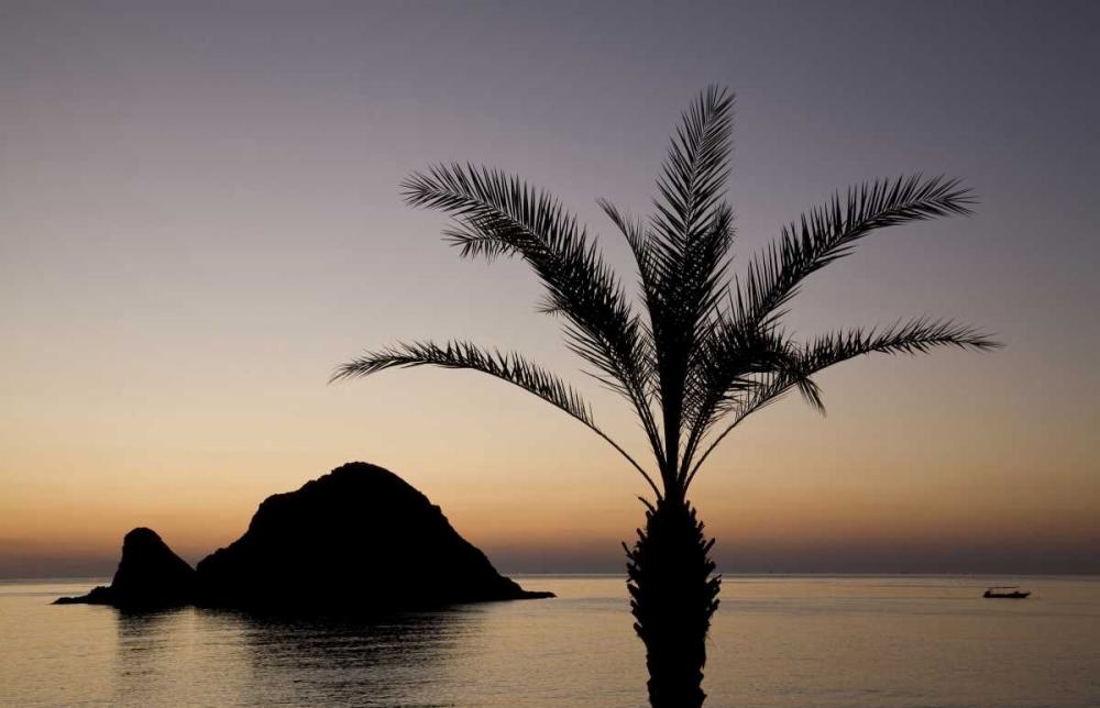 Art Print: UAE, Fujairah Snoopy Island and palm tree