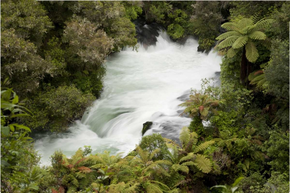 Art Print: New Zealand, Okere Falls on the Kaituna River