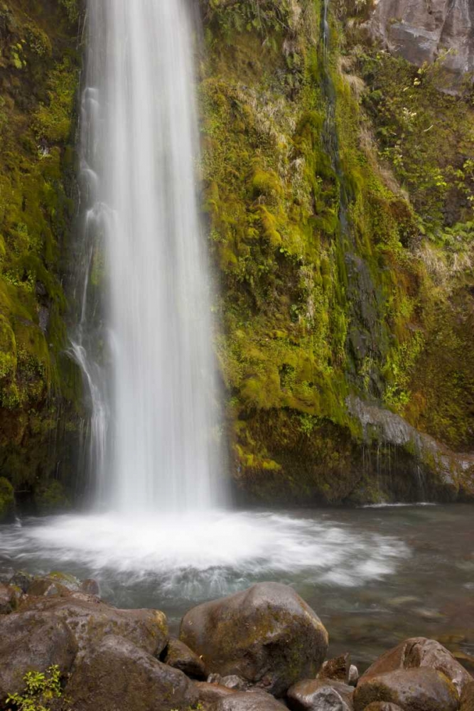Art Print: New Zealand, Taranaki Dawson Falls in Egmont NP