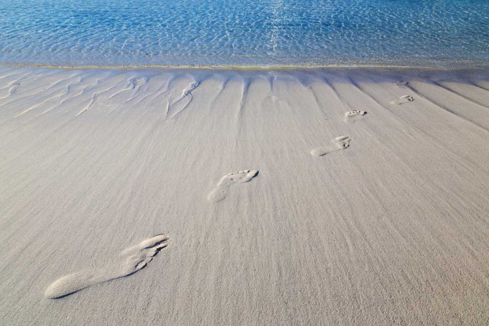 Art Print: Bahamas, Exuma Island Sand footprints