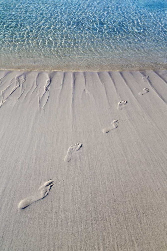 Art Print: Bahamas, Exuma Island Sand footprints
