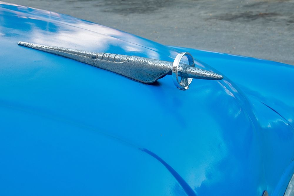 Wall Art Painting id:399450, Name: Detail of hood ornament on blue classic American Buick car in Habana-Havana-Cuba, Artist: Miglavs, Janis