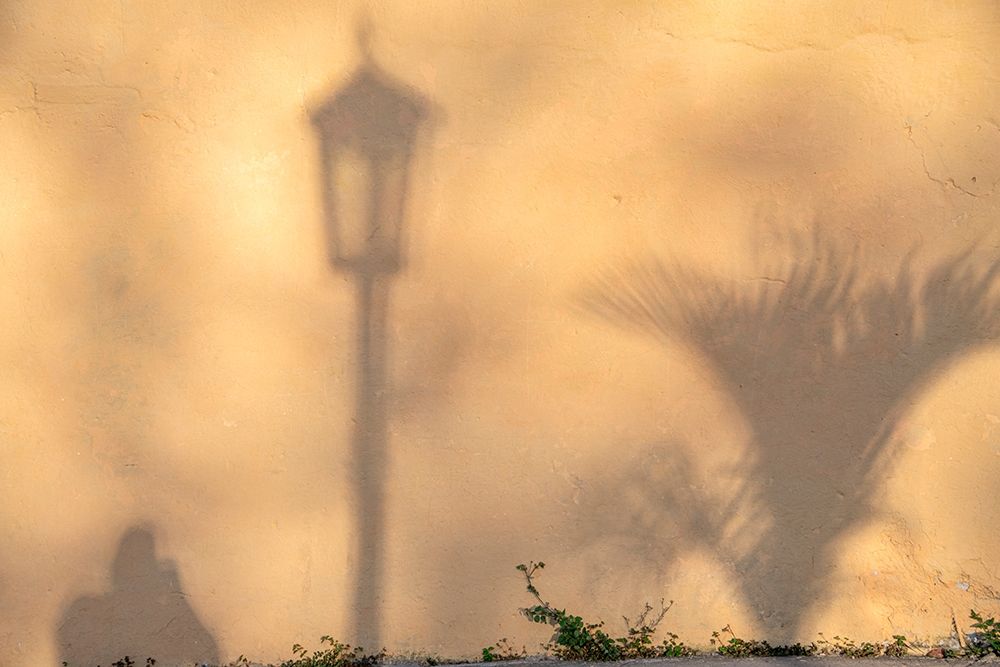 Wall art: Early morning shadow of a man and lamppost and plant on house wall in Trinidad-Cuba, by Miglavs, Janis