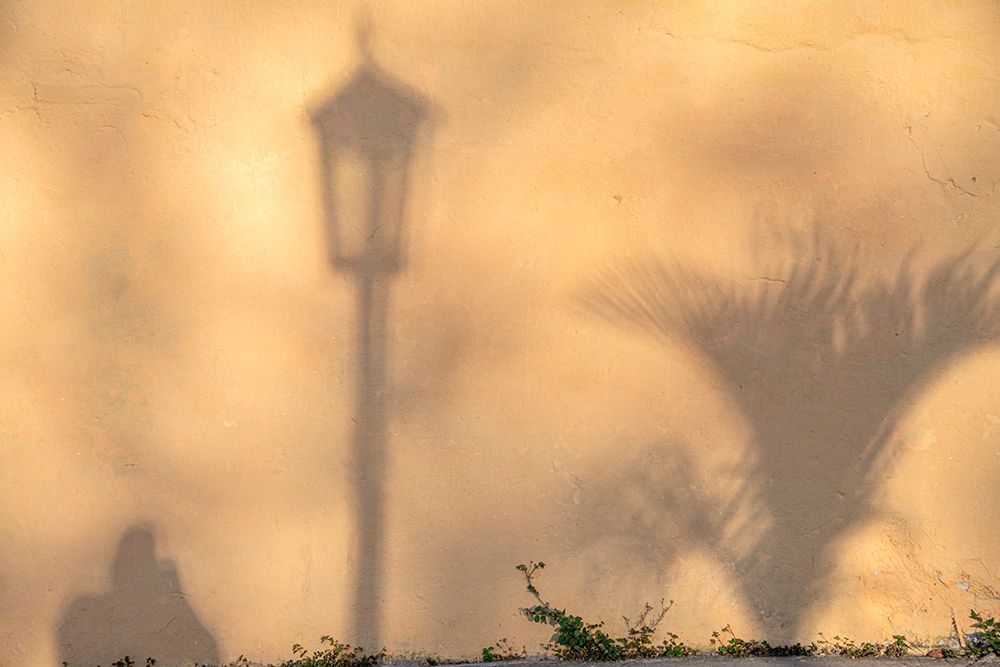 Wall Art Painting id:399483, Name: Early morning shadow of a man and lamppost and plant on house wall in Trinidad-Cuba, Artist: Miglavs, Janis