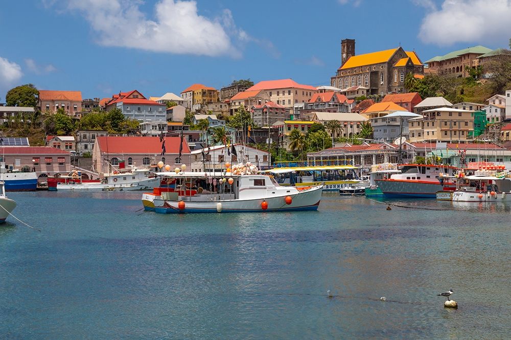 Art Print: Caribbean-Grenada-St Georges Boats in The Carenage harbor