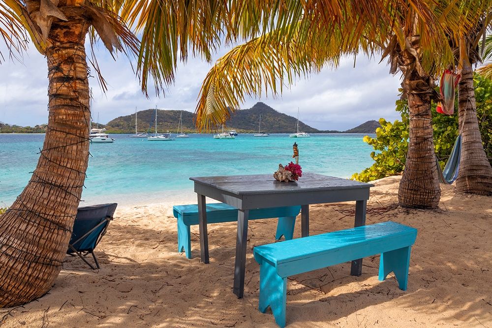 Art Print: Caribbean-Grenada-Sandy Island Picnic table and hammock on beach
