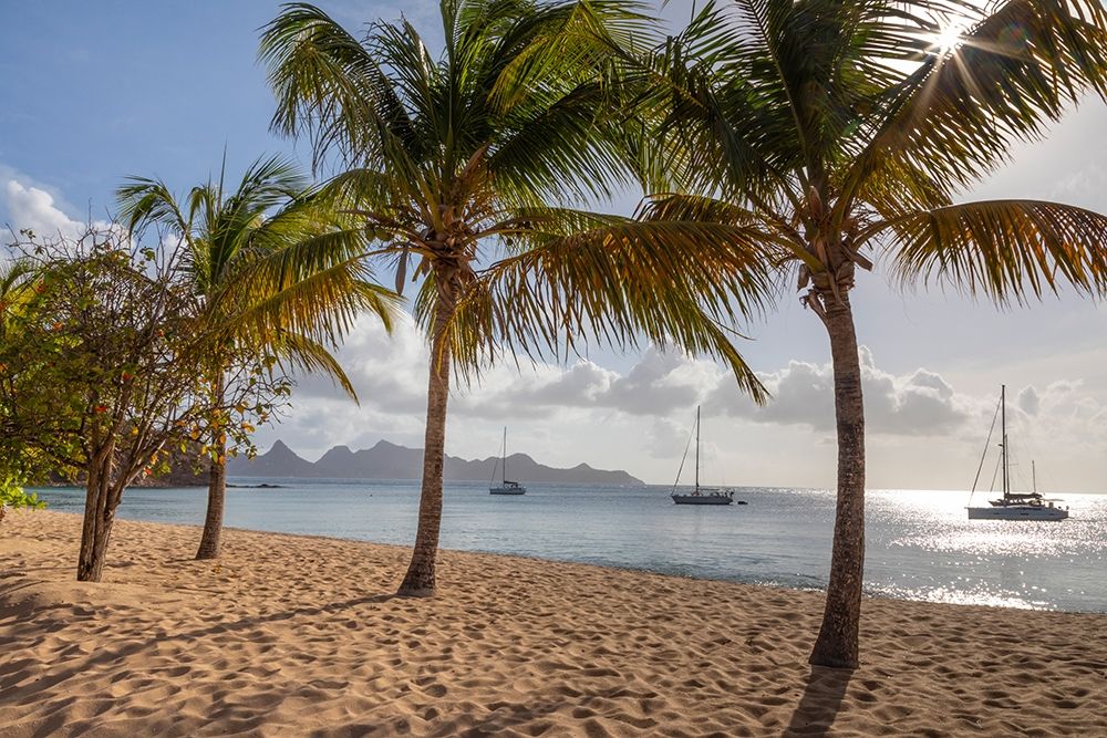 Art Print: Caribbean-Grenada-Mayreau Island Sailboats at anchor off beach