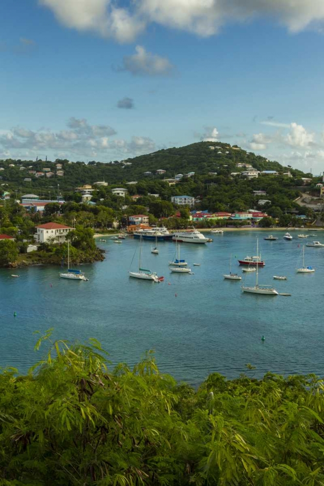 Art Print: Caribbean, USA Virgin Islands, St John Cruz Bay