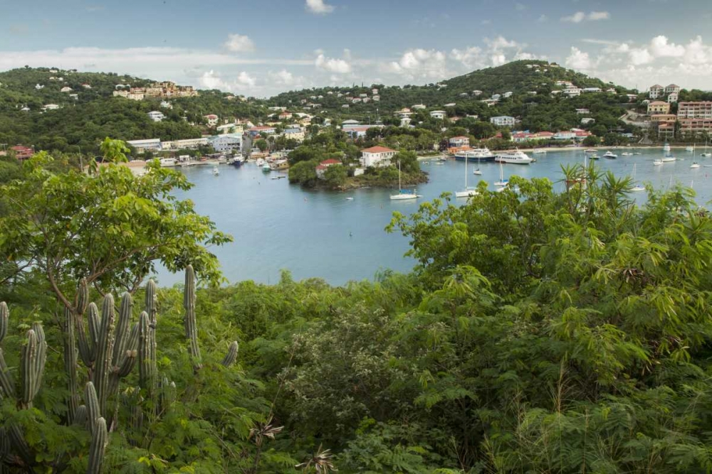 Art Print: Caribbean, USA Virgin Islands, St John Cruz Bay