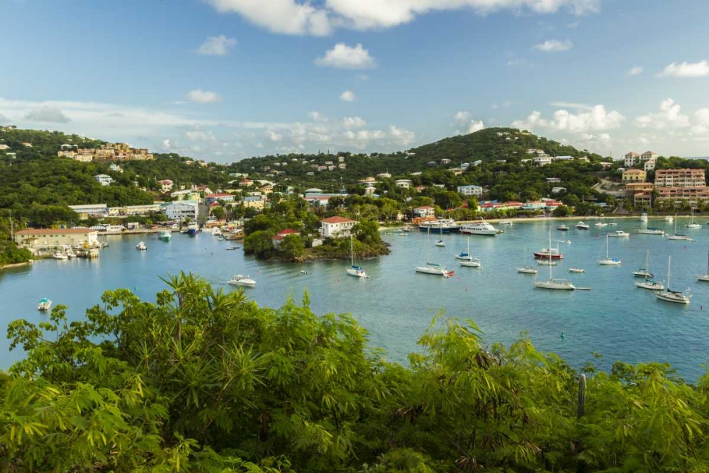 Art Print: Caribbean, USA Virgin Islands, St John Cruz Bay
