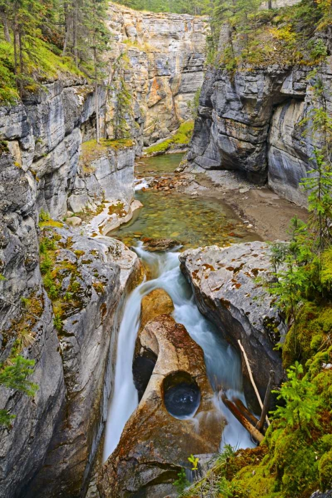 Art Print: Canada, Jasper NP Maligne River in the Canyon
