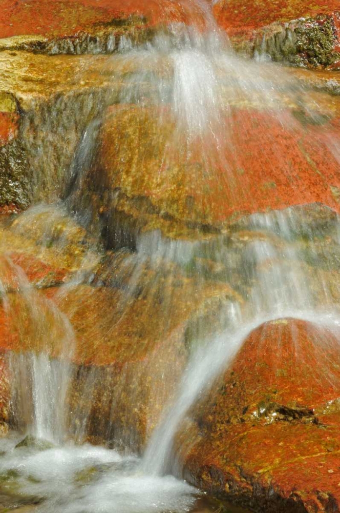 Art Print: Canada, Alberta, Stream in Red Rock Canyon