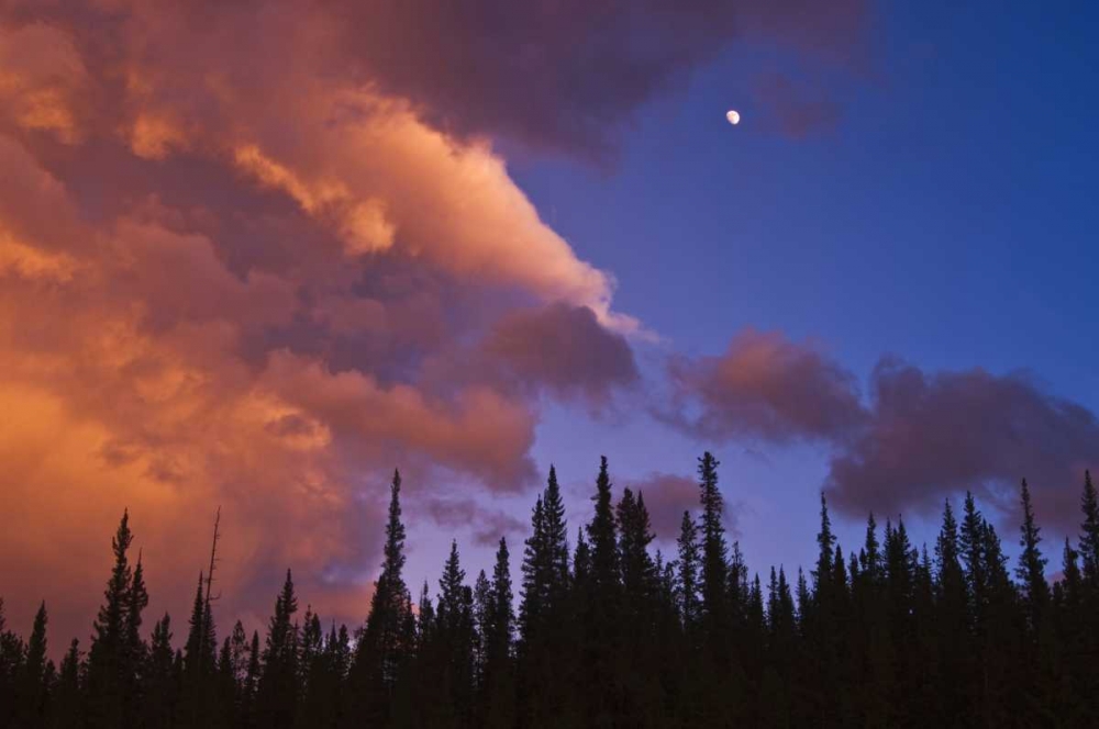 Art Print: Canada, Alberta, Jasper NP Clouds over forest