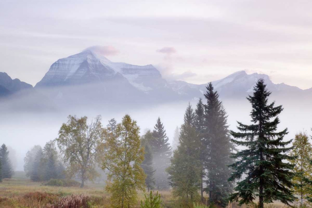 Art Print: Canada, BC, Mount Robson PP Foggy sunrise