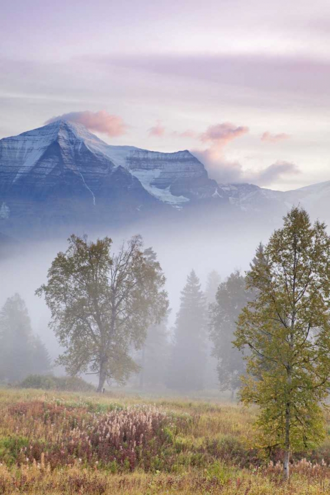 Art Print: Canada, BC, Mount Robson PP Foggy sunrise
