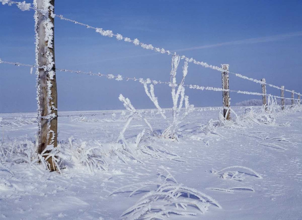 Art Print: Canada, Manitoba, Dugald, hoarfrost and fence