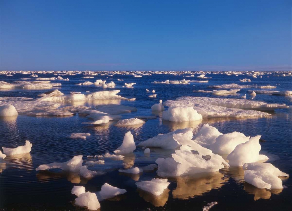 Art Print: Canada, Churchill, ice floe in Hudson Bay