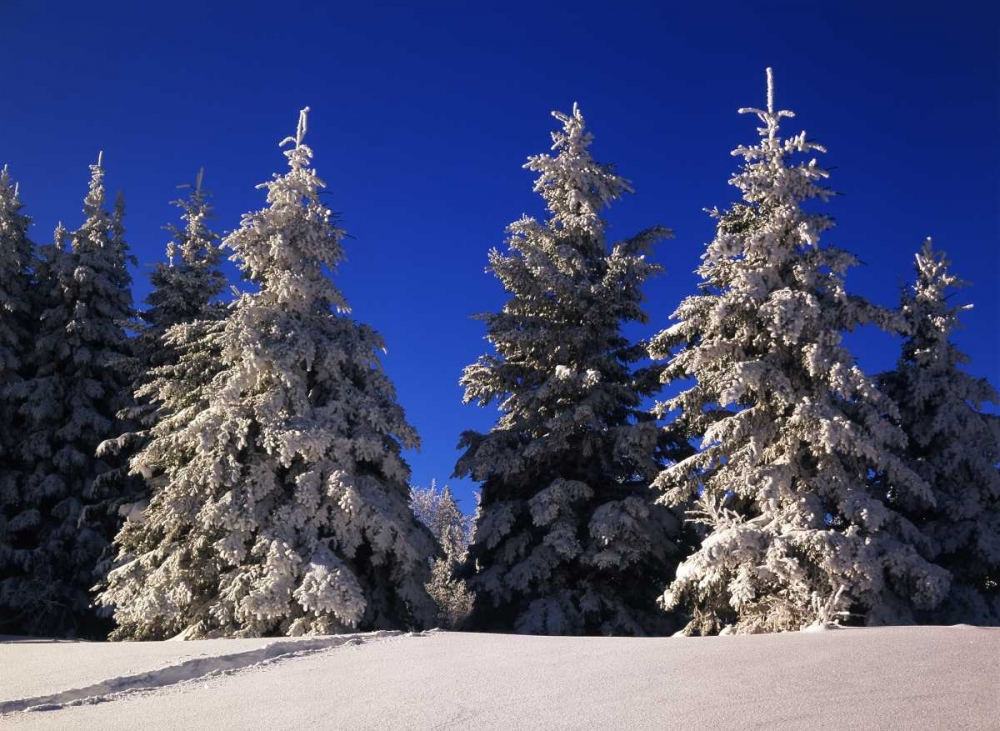 Similar wall art painting: 128471