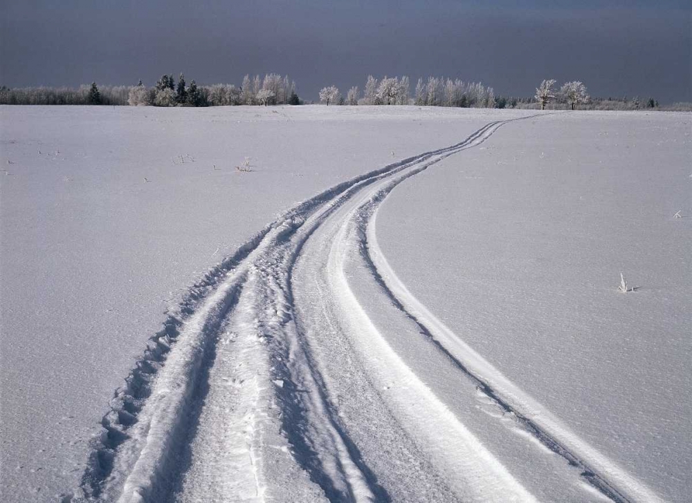 Art Print: Canada, Manitoba, Tire tracks in snow landscape