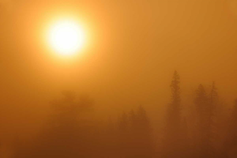 Art Print: Canada, Manitoba Sunrise fog at Lyons Lake