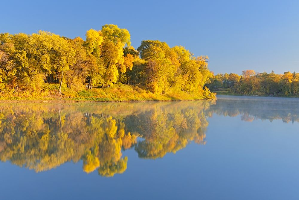 Art Print: Canada-Manitoba-Winnipeg Forest reflected in Red River at sunrise