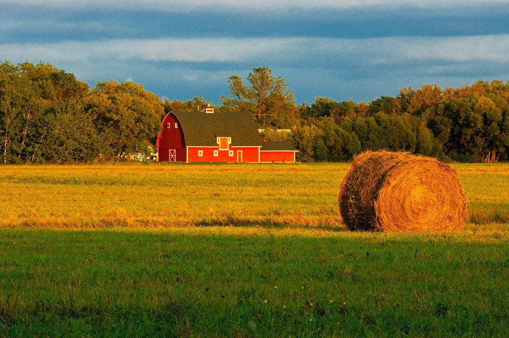 Art Print: Canada-Manitoba-Matlock Red barn and bale at sunrise