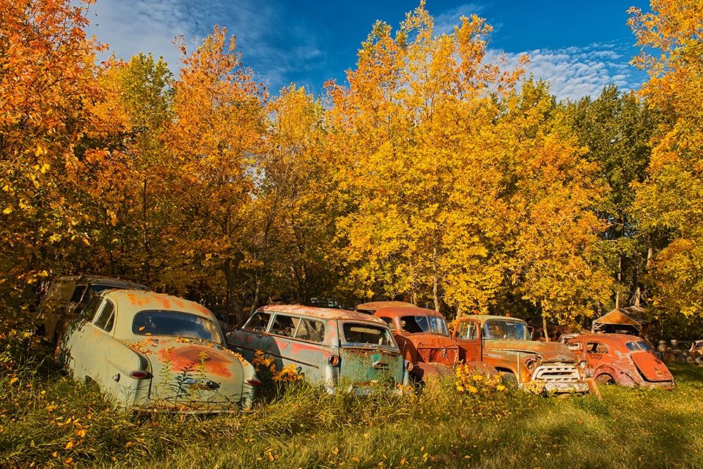 Art Print: Canada-Manitoba-St Lupicin Vintage old vehicles in wrecking yard