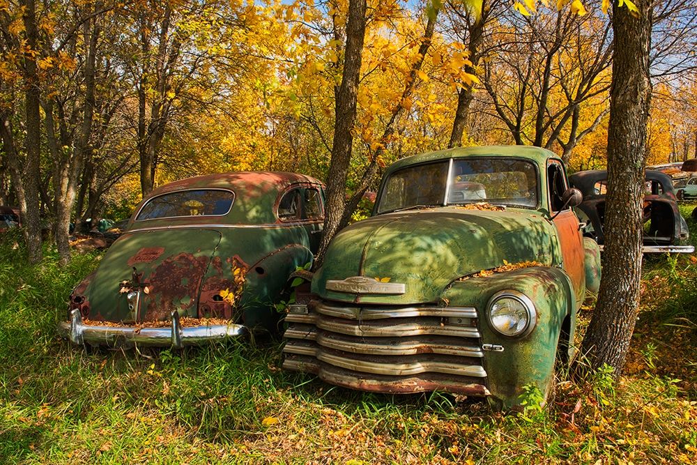 Art Print: Canada-Manitoba-St Lupicin Vintage old vehicles in wrecking yard