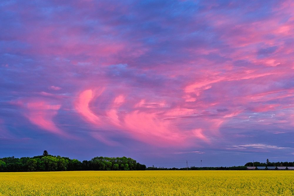 Art Print: Canada-Manitoba-Dugald Clouds at sunset on prairie