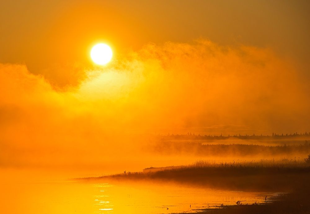 Art Print: Canada-Manitoba-Riding Mountain National Park Fog rising above Whirlpool Lake at sunrise