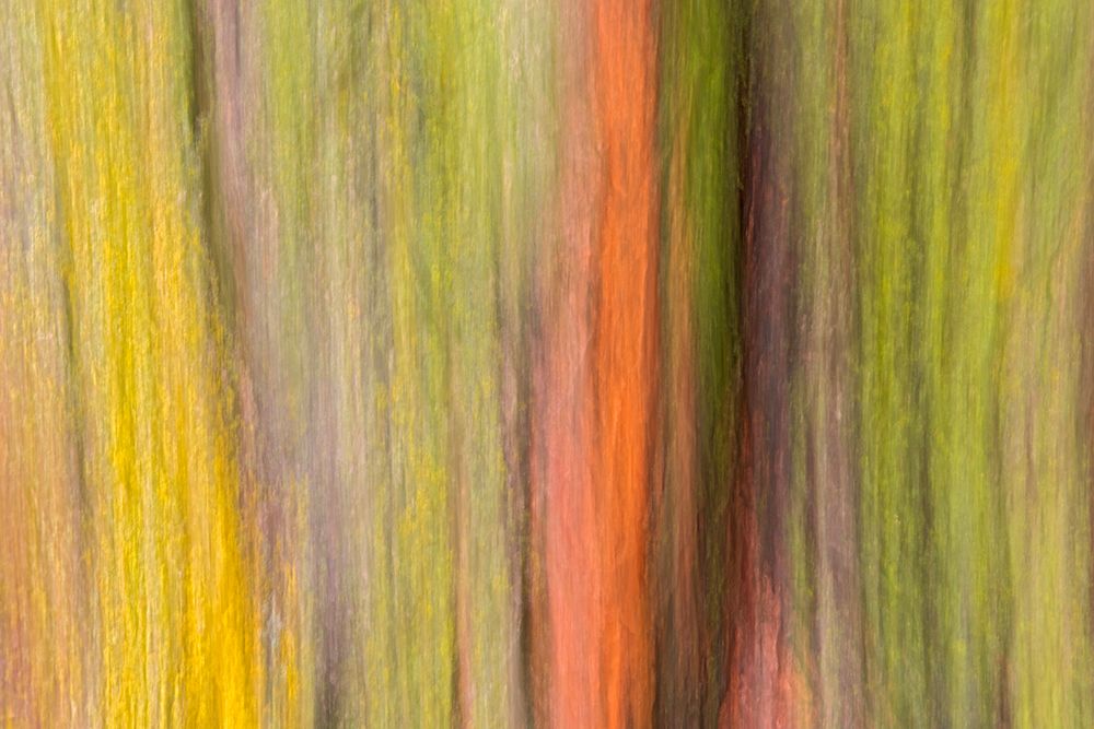 Similar wall art painting: 651014