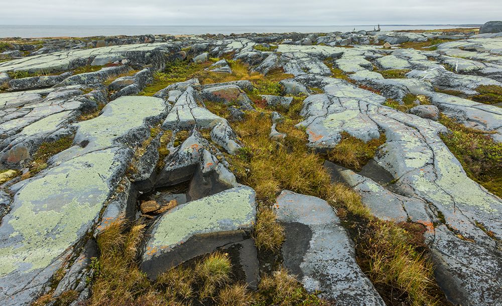 Art Print: Arctic tundra glacial boulder formation details in early autumn in Northern Manitoba