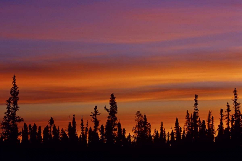 Wall art: Canada, Ft Resolution Sunrise over forest, by Grandmaison, Mike
