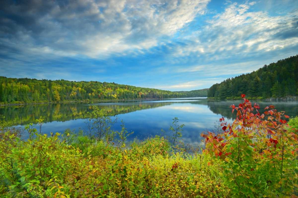 Art Print: Canada, Algonquin PP Landscape of Costello Lake