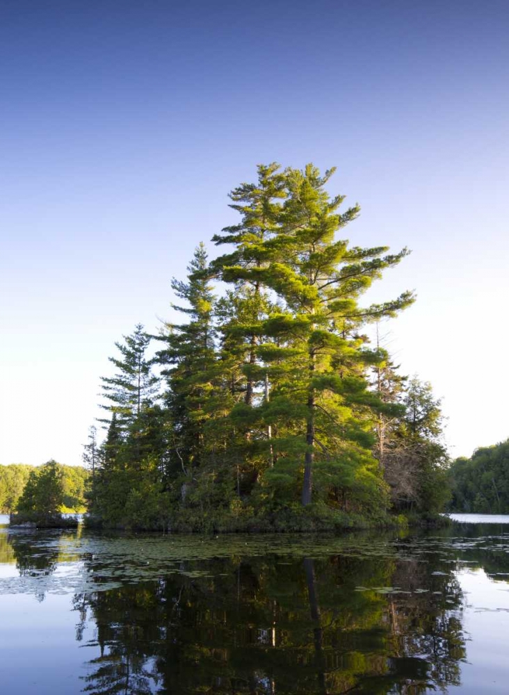 Art Print: Canada, Quebec Island on Lake Long Pond