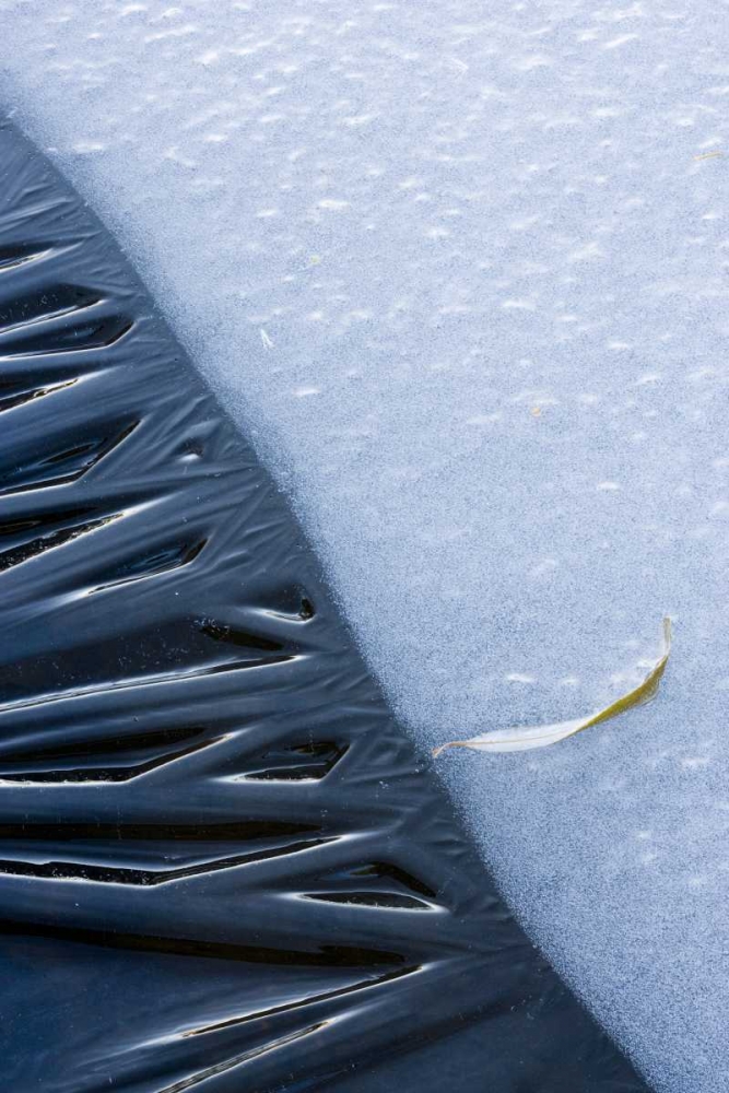 Art Print: Canada, Quebec, Lakeshore ice