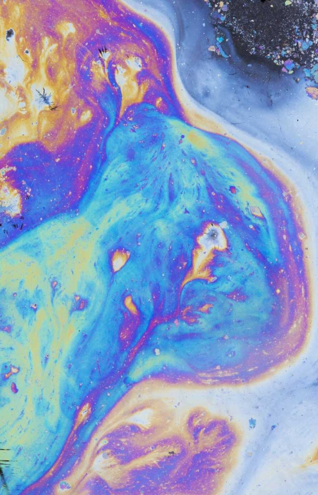 Art Print: Canada, Quebec, Natural plant oil display