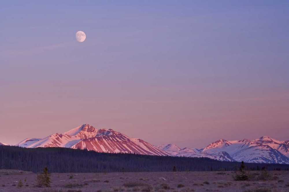 Wall art: Canada, BC, Moonrise over mountains at sunset, by Paulson, Don