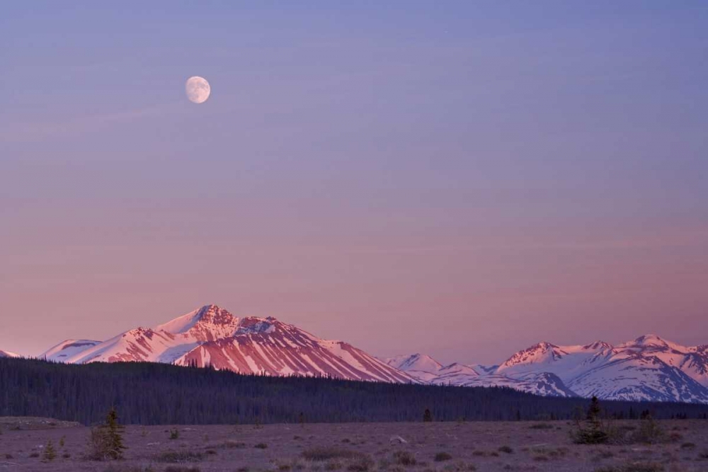 Wall Art Painting id:132984, Name: Canada, BC, Moonrise over mountains at sunset, Artist: Paulson, Don