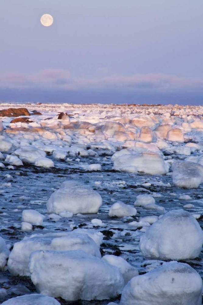 Art Print: Canada, Hudson Bay Sunset and full moon rising