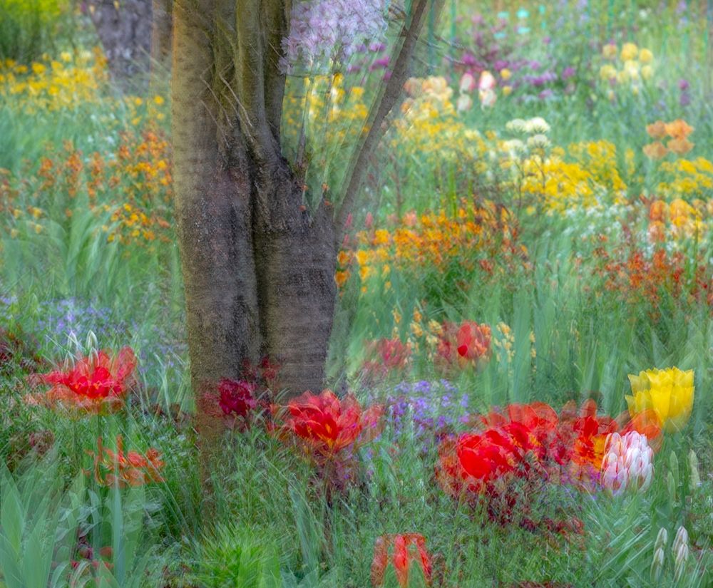 Art Print: France-Giverny Impression of flowers in Monets Garden 
