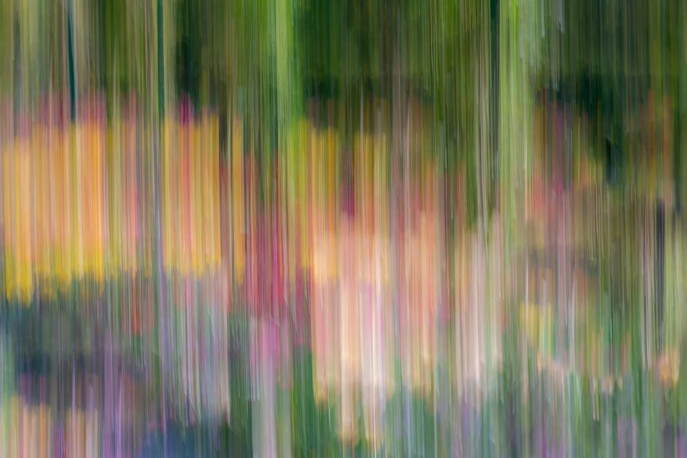 Art Print: France-Giverny Abstract of flowers in Monets Garden 