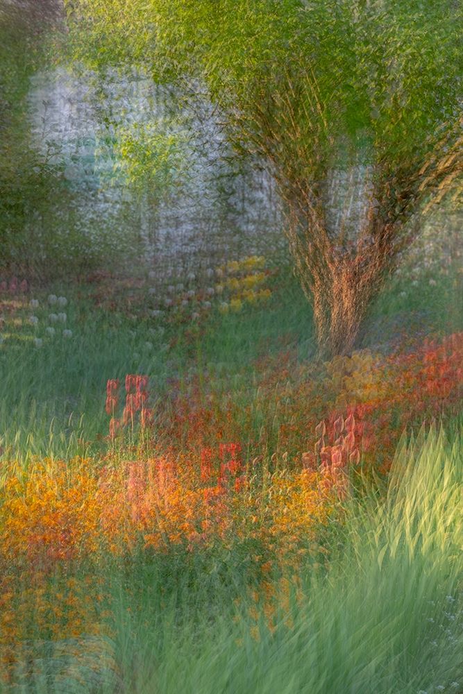 Art Print: France-Giverny Impression of flowers in Monets Garden 