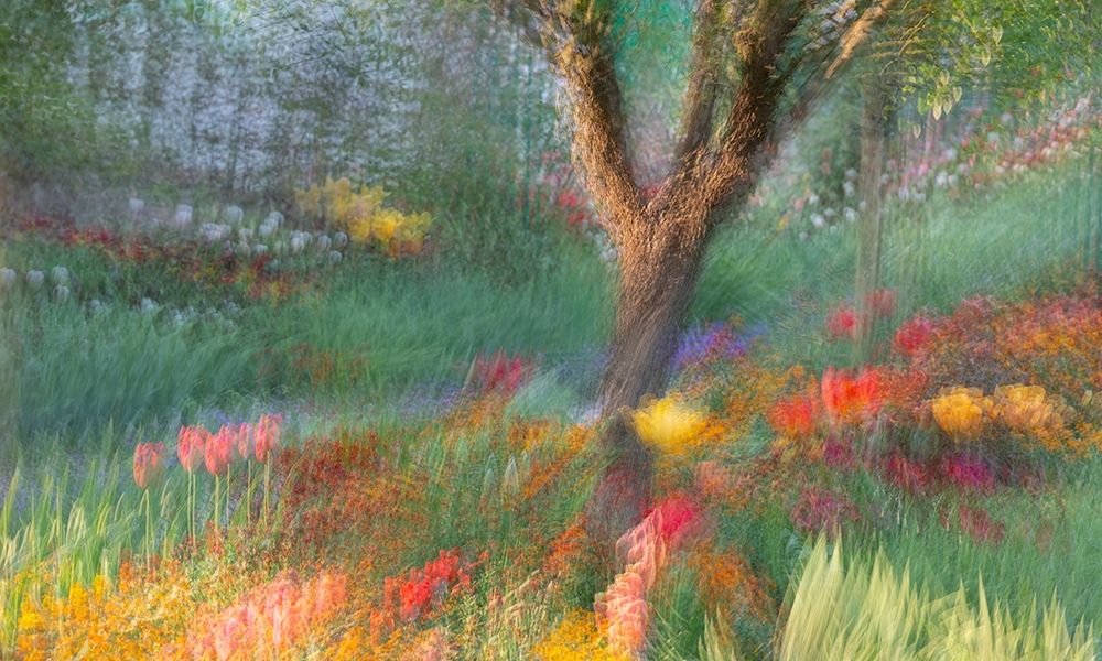 Art Print: France-Giverny Impression of flowers in Monets Garden 