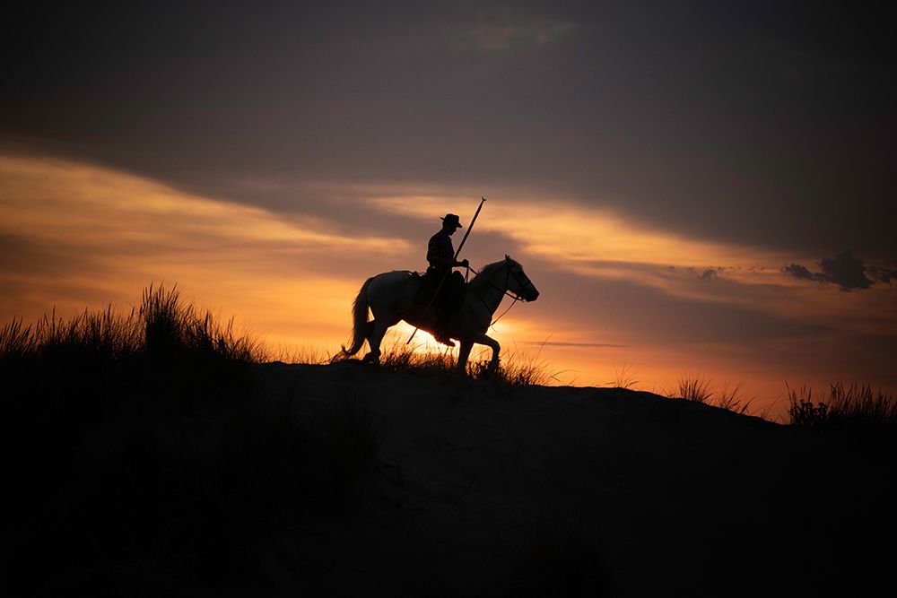 Wall art: Europe-France-Provence-Camargue horse with rider at sunrise, by Jaynes Gallery